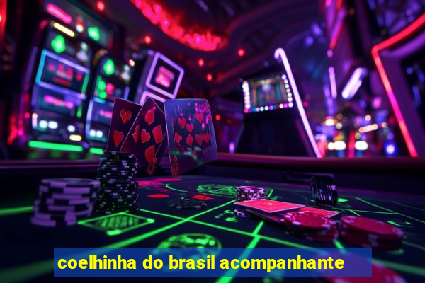 coelhinha do brasil acompanhante